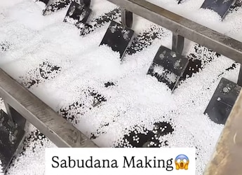 Watch: Viral Video Shows How Sabudana Is Made In A Factory From Scratch