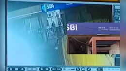 VIDEO: उज्जैन की SBI बैंक का तोड़ा लॉकर, दो करोड़ के जेवर समेत 8 लाख कैश चोरी; CCTV में दिखे चोर
