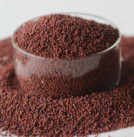 This Goan Ragi Porridge Can Help In Postpartum Recovery, Improve Bone Health, Says Lifestyle Coach