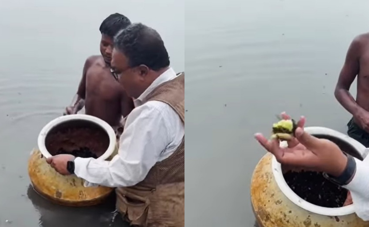 कमर तक पानी, कांटों से दोस्‍ती, जी तोड़ मेहनत... तब बनता है मखाना, NDTV रिपोर्टर के साथ जानिए पूरा प्रोसेस