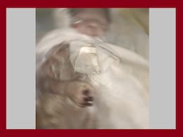 Indore MY Hospital: चूहों के कुतरने से हुई मौत पर प्रकरण दर्ज; नवजात शिशुओं की मौत पर सियासत जारी Indore MY Hospital: चूहों के कुतरने से हुई मौत पर प्रकरण दर्ज; नवजात शिशुओं की मौत पर सियासत जारी