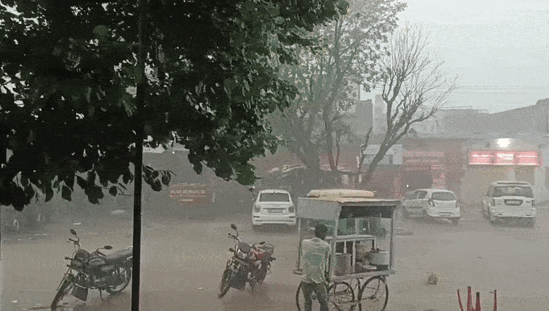 राजस्थान के कई जिलों में भारी बारिश और आंधी, IMD ने जारी किया कई&nbsp;जिलों में अलर्ट&nbsp;