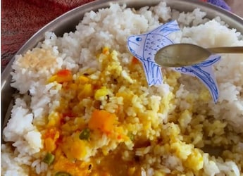 Man Consumes Dal-Chawal With "Vegetarian Fish"; Internet Is Confused
