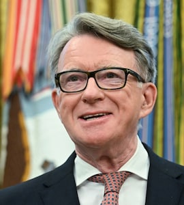 I Think The World Of You": UK Ambassador Peter Mandelson's Email To Jeffrey  Epstein Before 2008 Guilty Plea