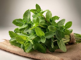 पुदीना रहेगा 6 महीने तक फ्रेश, बस स्टोर करते समय अपनाएं ये कमाल की ट्रिक