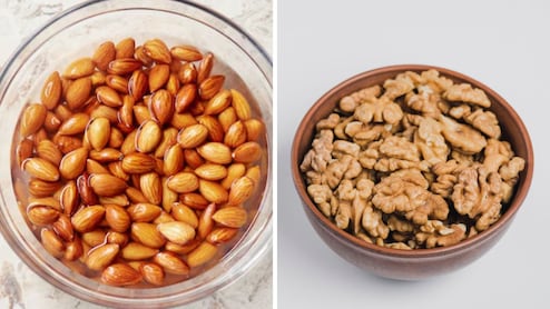 Dry Fruits Benefits: बदाम-अक्रोड किती तास भिजवावे? कोणते ड्रायफ्रुट भिजवून खाल्ल्यास मिळतील फायदे, तज्ज्ञांनी दिली माहिती