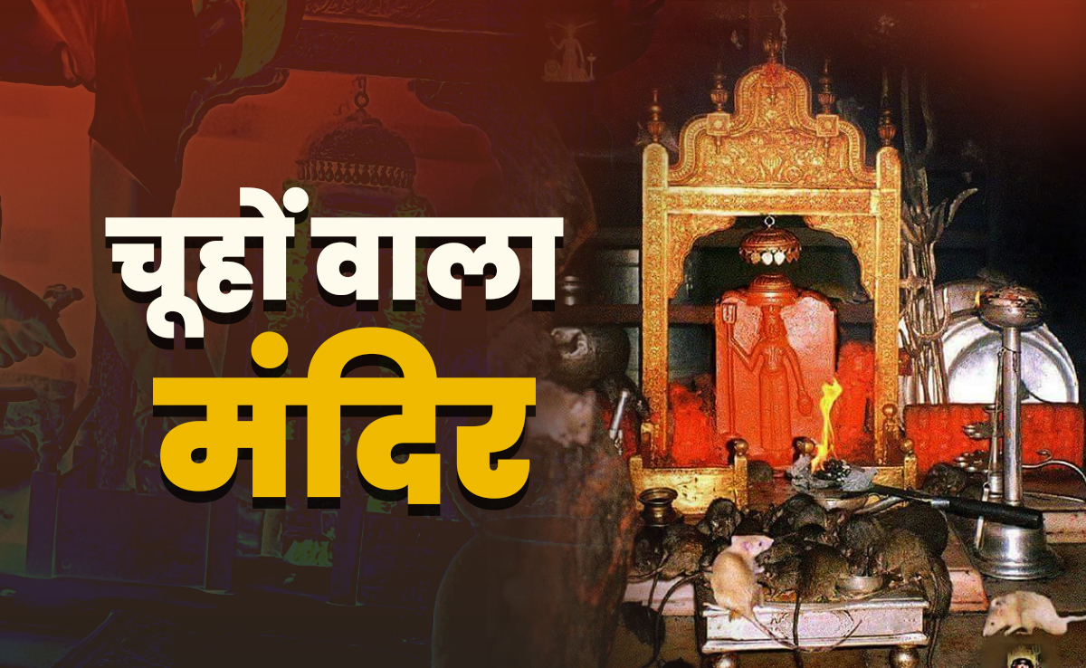 Rat Temple of India: देवी के इस मंदिर में भक्तों से ज्यादा आते हैं चूहे, जानें इसे क्यों कहते हैं काबा वाला मंदिर?