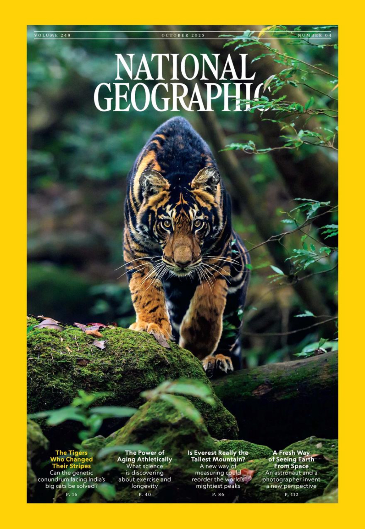 National Geographic Features Indian Photographer's Shot Of Rare Black Tiger