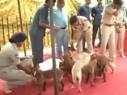 हैदराबाद पुलिस को मिले 12 नए कुत्ते, 10 महीने की दी जाएगी ट्रेनिंग, देखें वीडियो हैदराबाद पुलिस को मिले 12 नए कुत्ते, 10 महीने की दी जाएगी ट्रेनिंग, देखें वीडियो
