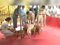 Watch: Hyderabad Police Gets 12 New Dogs, To Undergo 10-Month Training