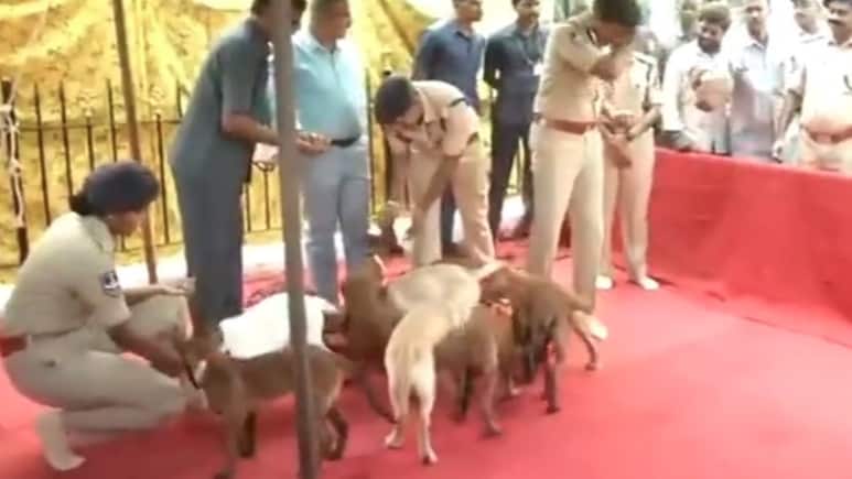 Watch: Hyderabad Police Gets 12 New Dogs, To Undergo 10-Month Training Watch: Hyderabad Police Gets 12 New Dogs, To Undergo 10-Month Training