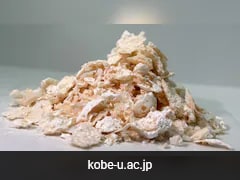 Japanese Scientists Develop Eco-Friendly Plastic Ingredient Using Bacteria