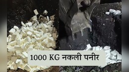 Rajasthan: त्योहारी सीज़न में पकड़ा गया 1000 KG नकली पनीर, पिकअप में भर कर अलवर से जयपुर ला रहे थे मिलावट खोर&nbsp;