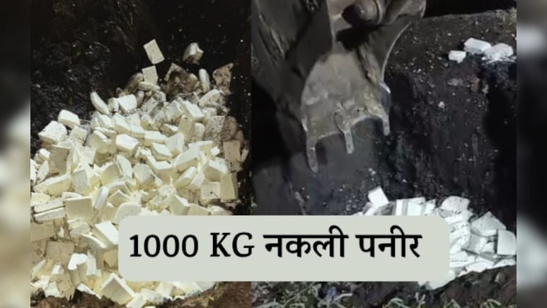 Rajasthan: त्योहारी सीज़न में पकड़ा गया 1000 KG नकली पनीर, पिकअप में भर कर अलवर से जयपुर ला रहे थे मिलावट खोर 