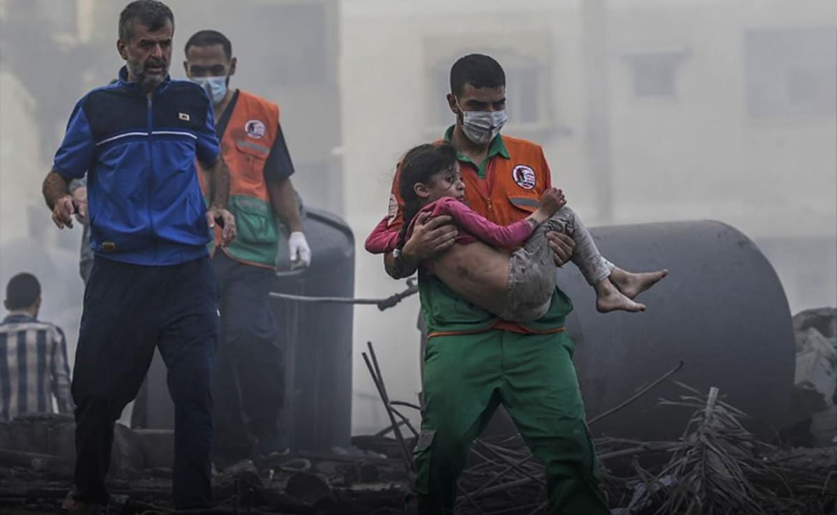 Muslim States Join European Powers In Backing Trump's Gaza Plan