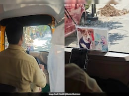 Bengaluru Auto Driver's Heartwarming Tribute To Late Pet Dog Goes Viral, Wins Hearts Bengaluru Auto Driver's Heartwarming Tribute To Late Pet Dog Goes Viral, Wins Hearts