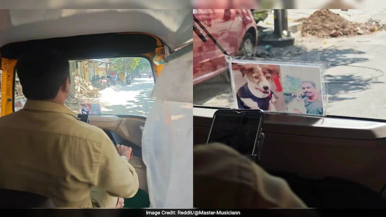Bengaluru Auto Driver's Heartwarming Tribute To Late Pet Dog Goes Viral, Wins Hearts Bengaluru Auto Driver's Heartwarming Tribute To Late Pet Dog Goes Viral, Wins Hearts