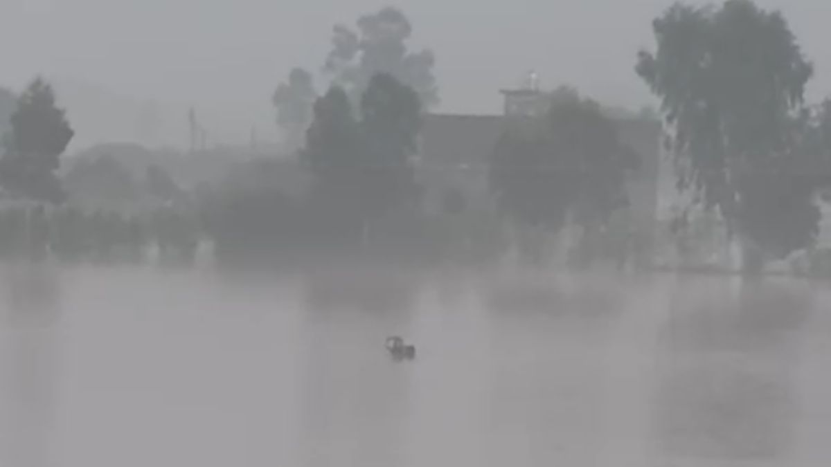 On Camera, Woman Washed Away By Floodwaters, Dies In Flood-Hit Punjab