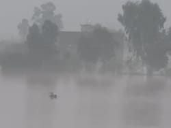 On Camera, Woman Washed Away By Floodwaters, Dies In Flood-Hit Punjab