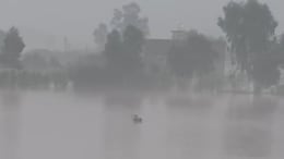 On Camera, Woman Washed Away By Floodwaters, Dies In Flood-Hit Punjab