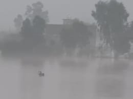 On Camera, Woman Washed Away By Floodwaters, Dies In Flood-Hit Punjab On Camera, Woman Washed Away By Floodwaters, Dies In Flood-Hit Punjab