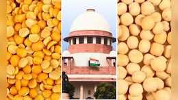 भारतीय अरहर और मूंग दाल Vs विदेशी पीली मटर: सुप्रीम कोर्ट में हुई दिलचस्प बहस, घर-घर से जुड़ी है कहानी