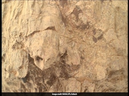 NASA's Mars Perseverance Rover Spots Rock That Looks Strikingly Like Turtle NASA's Mars Perseverance Rover Spots Rock That Looks Strikingly Like Turtle