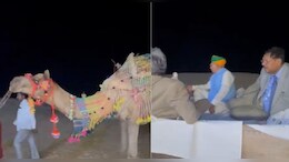 चीफ जस्&zwj;ट&zwj;िस ने की ऊंट गाड़ी की सवारी, ऊंटनी के दूध से बने पेड़े का स्वाद चखा