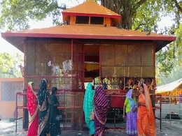 मां मदनपुर देवी के दरबार में रोज आधी रात को हाजिरी देता है बाघ, राजा को मां ने इस तरह से दिए दर्शन मां मदनपुर देवी के दरबार में रोज आधी रात को हाजिरी देता है बाघ, राजा को मां ने इस तरह से दिए दर्शन