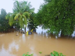 Maharashtra Rain : आभाळ फाटलं, शेती पाण्याखाली; महाराष्ट्रातील 36 पैकी 29 जिल्ह्यांना पावसाचा इशारा