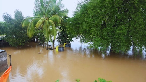 Maharashtra Rain : आभाळ फाटलं, शेती पाण्याखाली; महाराष्ट्रातील 36 पैकी 29 जिल्ह्यांना पावसाचा इशारा