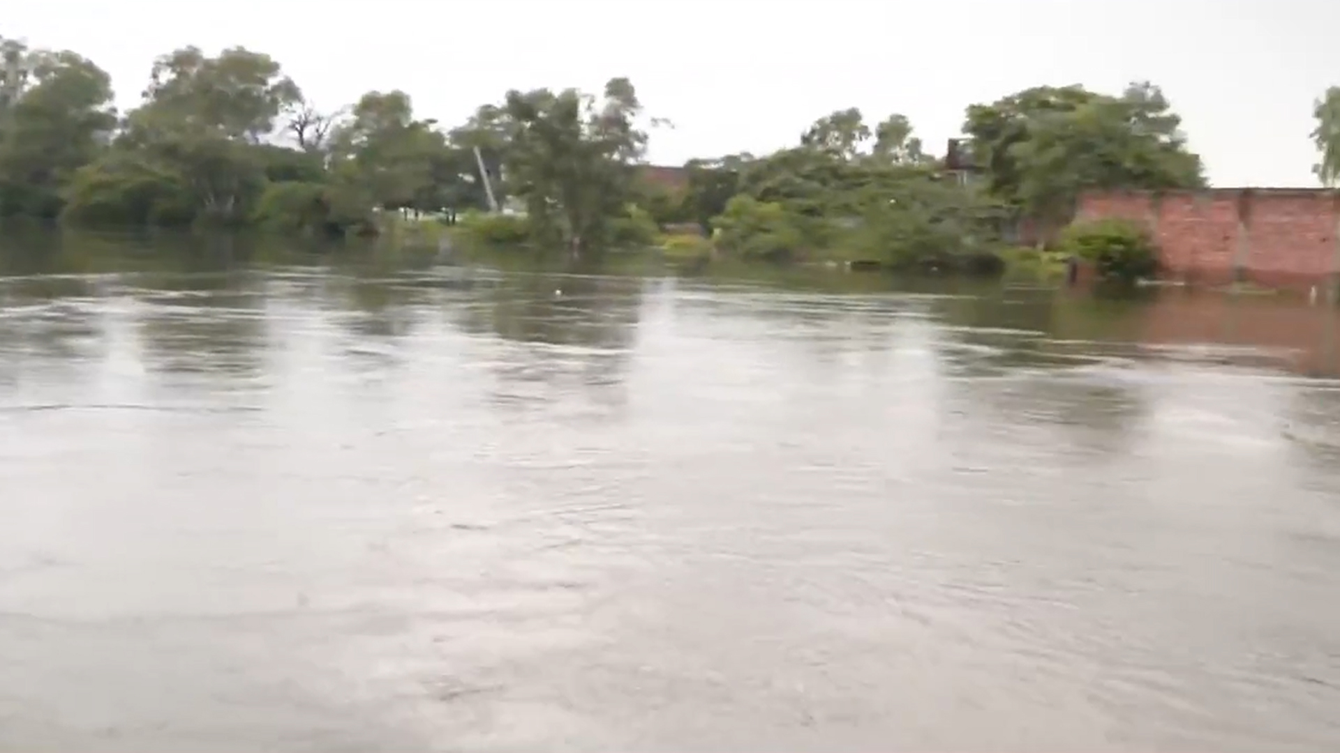 Fertile Fields Submerged: Relentless Rains Ravage Punjab
