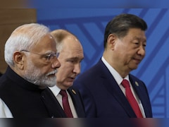 Xi Coined "Dragon-Elephant" For India-China Ties, "Bear" Added Later: Putin