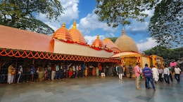 From Biryani To Fish And Toddy, 7 Temples In India Serve Non-Veg Prasad