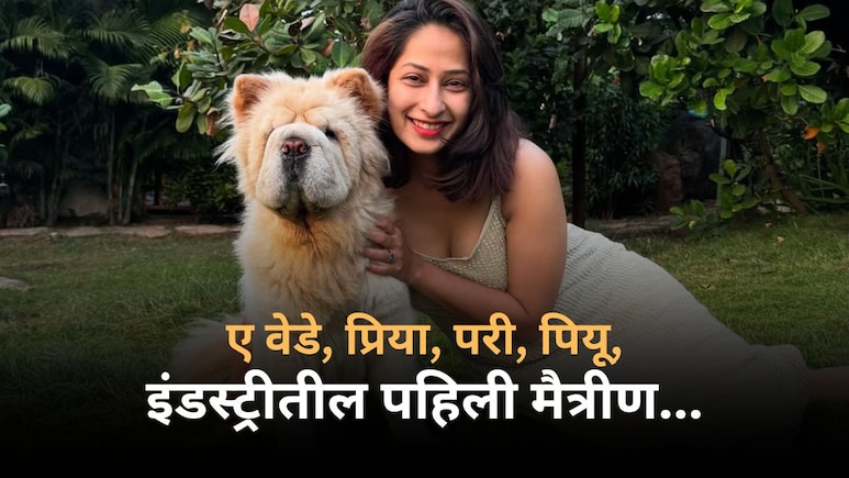 'कॅन्सरने तिचं शरीर झिजवलं..', प्रिया मराठेच्या मृत्यूनंतर अभिनेत्रीची काळीज पिळवणारी पोस्ट 'कॅन्सरने तिचं शरीर झिजवलं..', प्रिया मराठेच्या मृत्यूनंतर अभिनेत्रीची काळीज पिळवणारी पोस्ट