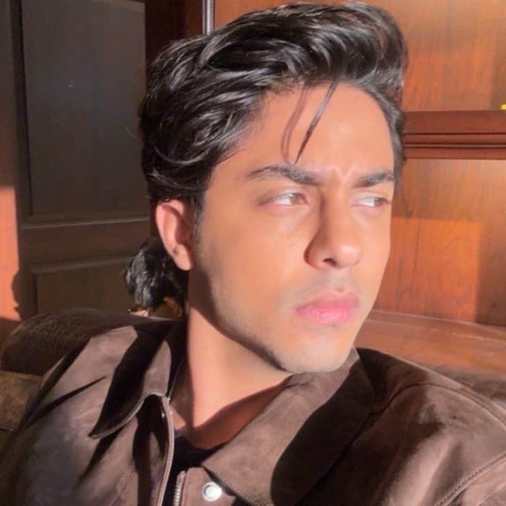 Aryan Khan Changes His Instagram Profile Pic After <i>Ba***ds</i> Release. Internet Can't Keep Calm