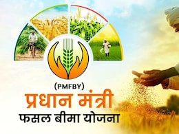 फसल खराब होने की सूचना 72 घंटे में देना जरूरी, वरना नहीं मिलेगा बीमा का फायदा फसल खराब होने की सूचना 72 घंटे में देना जरूरी, वरना नहीं मिलेगा बीमा का फायदा