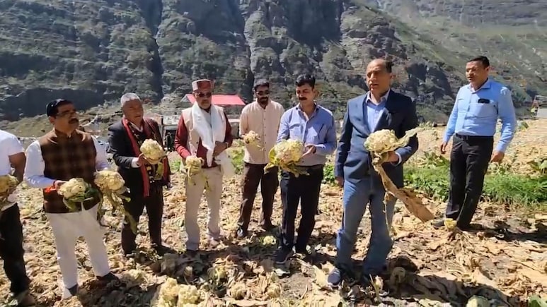 हिमाचल के लाहौल स्पीति में सड़ रहा गोभी, जयराम ठाकुर पहुंचे तो किसानों ने बताया अपना दर्द
