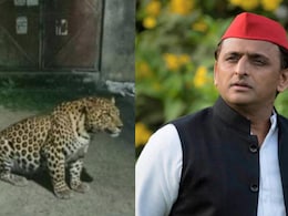 लखनऊ में जिस तेंदुए को देख लोग आतंक में थे, वो था AI तेंदुआ.. अखिलेश भी आ गए झांसे में लखनऊ में जिस तेंदुए को देख लोग आतंक में थे, वो था AI तेंदुआ.. अखिलेश भी आ गए झांसे में