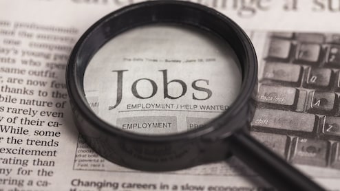 Government Job: बँक, रेल्वेसह विविध विभागांमध्ये सरकारी नोकरीची संधी; कुठे कराल अर्ज?