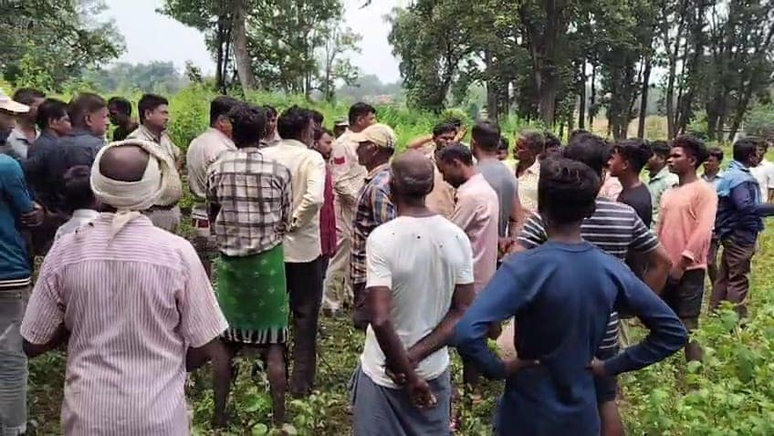 जंगली हाथी ने किया हमला जंगली हाथी ने किया हमला