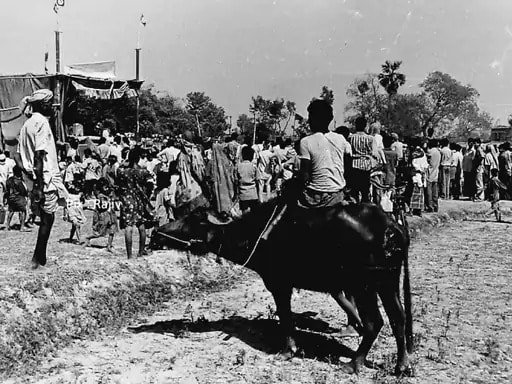 1990 में लालू की सभा की एक तस्वीर, भैंस पर बैठकर भाषण सुनते लोग. 1990 में लालू की सभा की एक तस्वीर, भैंस पर बैठकर भाषण सुनते लोग.