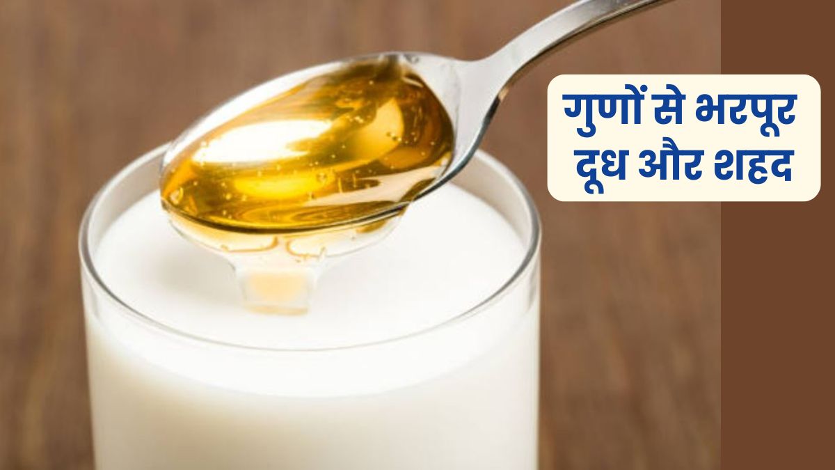 सेहत का खजाना है दूध और शहद का कॉम्बो, आज ही डाइट में करें शामिल