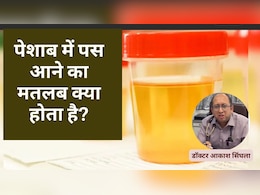 पेशाब में पस आने का क्या कारण है? Doctor ने बताया पेशाब में पस आने का घरेलू इलाज पेशाब में पस आने का क्या कारण है? Doctor ने बताया पेशाब में पस आने का घरेलू इलाज
