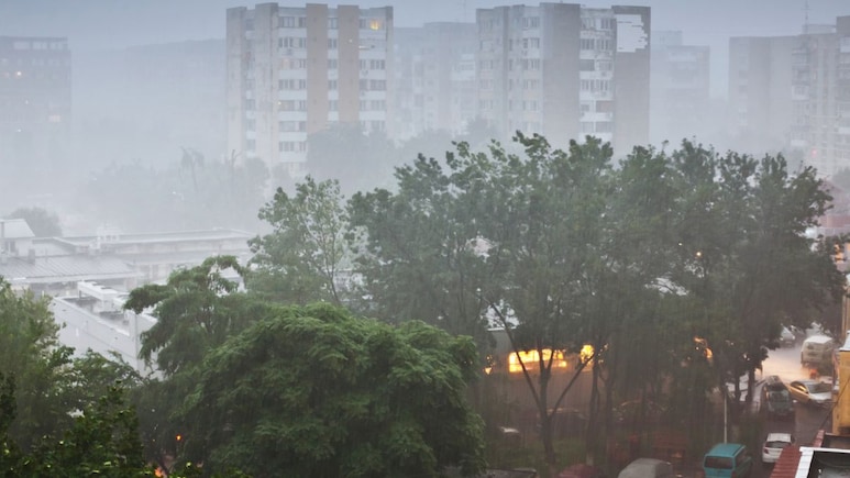 Maharashtra Rain Update : लोकल सेवेवर परिणाम, पुण्यात शाळांना सुट्टी; परतीच्या पावसामुळे नागरिकांची दाणादाण