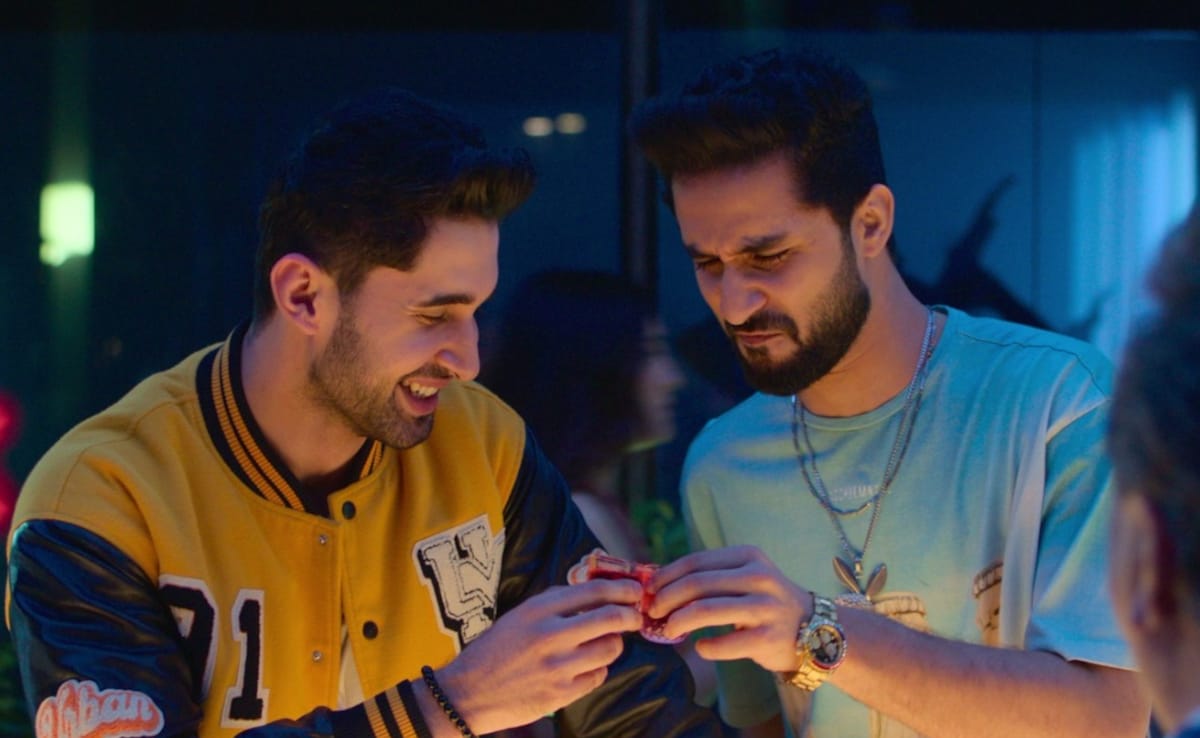 Spoiler Alert: All The Cameos In The Ba***ds Of Bollywood You Didn't See Coming