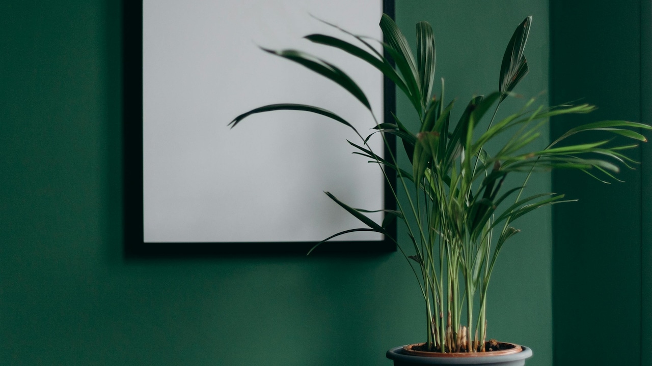 Green home decor can