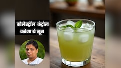 High Cholesterol को कंट्रोल करने में मदद करेगा ये हरा पत्ता, आचार्य बालकृष्ण ने बताया रामबाण नुस्खा