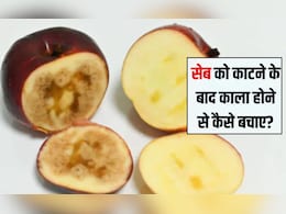 सेब काटने के बाद काला क्यों हो जाता है? सेब को काटने के बाद काला होने से कैसे बचाए, जानें यहां सेब काटने के बाद काला क्यों हो जाता है? सेब को काटने के बाद काला होने से कैसे बचाए, जानें यहां