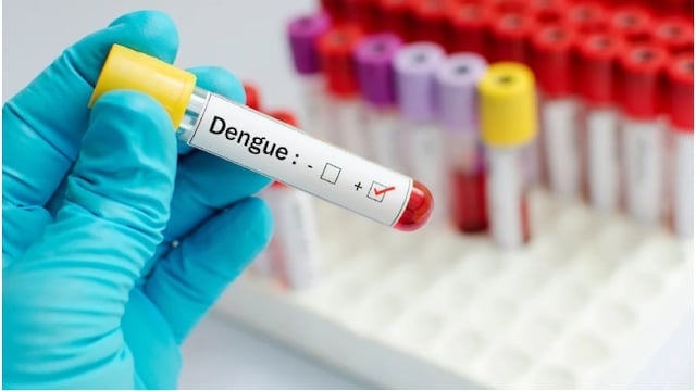 National Dengue Day: Gujarat Tests Over 2.56 Lakh Fever Samples During Prevention Campaign